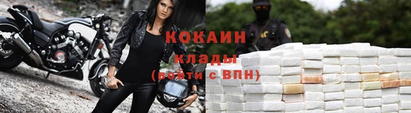 молекула духа Магадан