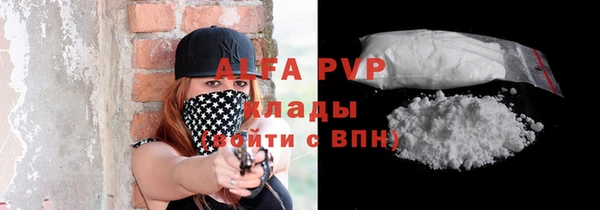 молекула духа Магадан