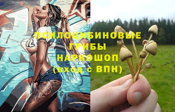 молекула духа Магадан