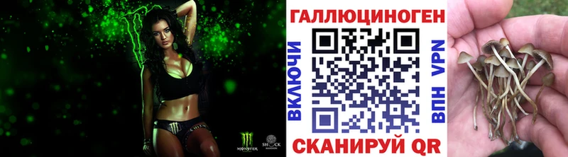 Псилоцибиновые грибы ЛСД  Купить закладки  Михайловск 